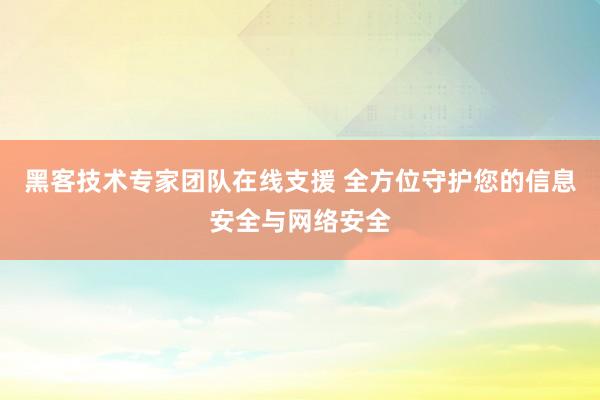 黑客技术专家团队在线支援 全方位守护您的信息安全与网络安全