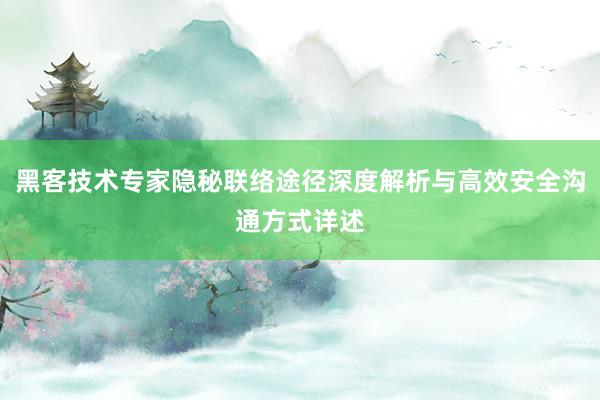 黑客技术专家隐秘联络途径深度解析与高效安全沟通方式详述